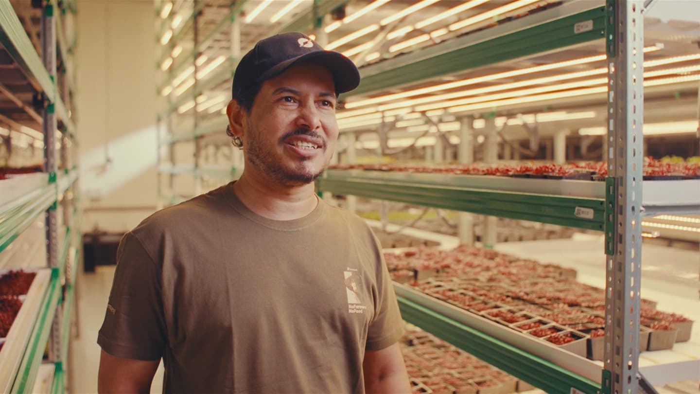Farmer standing between planted racks in an indoor vertical farm